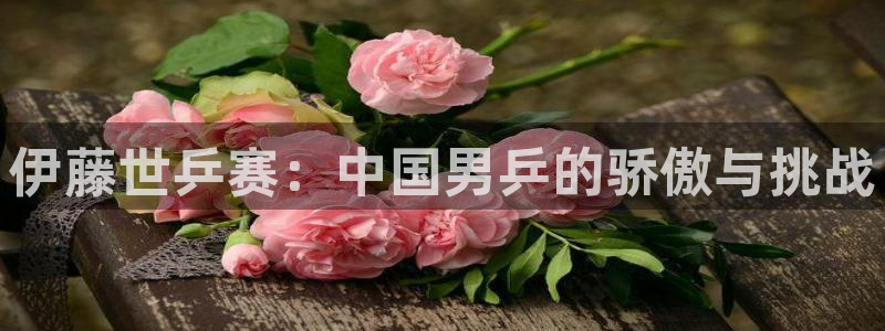 世界杯对阵图2026:伊藤世乒赛:中国男乒的骄傲与挑战