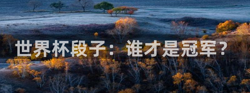 世界杯今日赛程直播:世界杯段子:谁才是冠军?