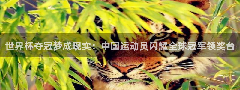 世界杯亚洲预选赛18强赛程:世界杯夺冠梦成现实:中国运动员闪耀全球冠军领奖台