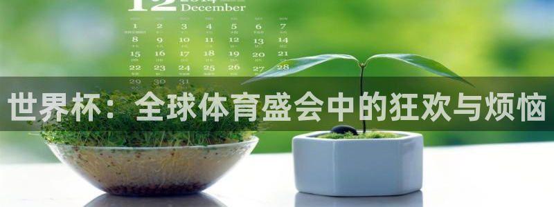 世界杯直播高清:世界杯:全球体育盛会中的狂欢与烦恼