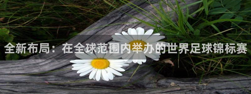 世预赛免费直播入口:全新布局:在全球范围内举办的世界足球锦标赛